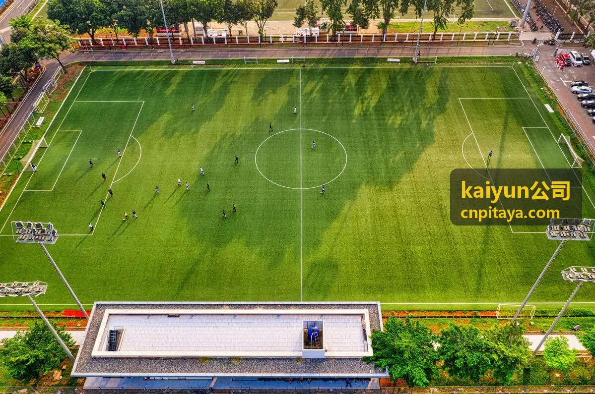 kaiyun公司项目制系统开发交付现场讨论