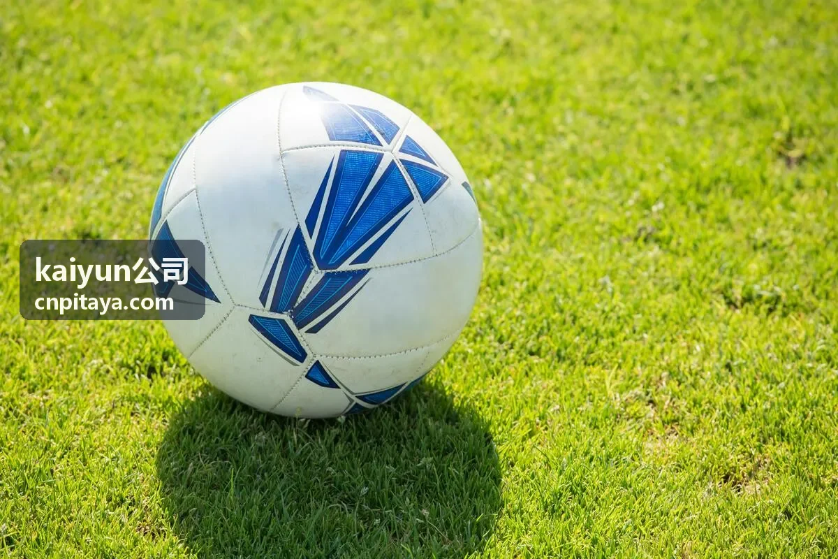 kaiyun公司迭代式开发交付的版本计划讨论